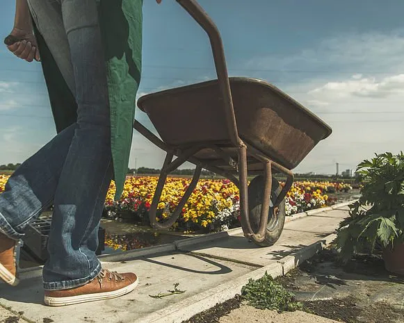 Trusted outdoor landscaping for residential properties in Harrisonburg, VA by Turn-A-Leaf Lawn & Landscape