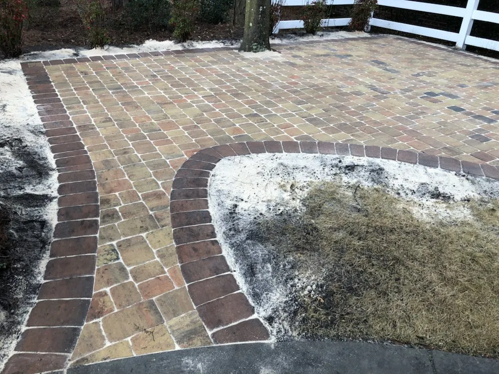 Professional landscaping services for beautiful yards in North Myrtle Beach, SC by Turnage Landscaping & Hardscapes