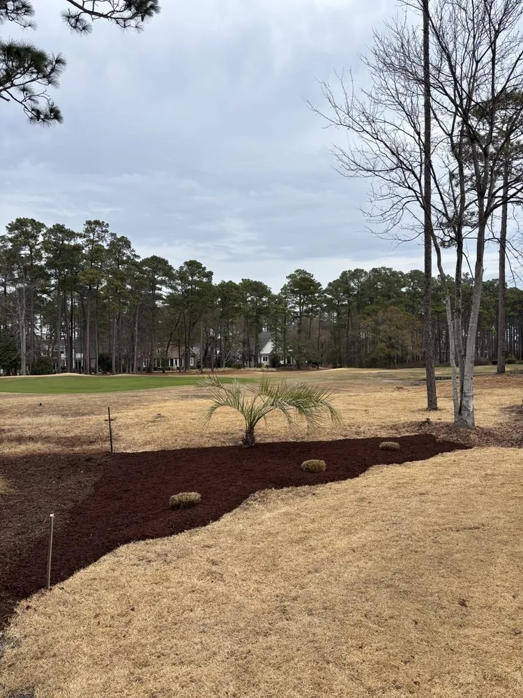 Custom yard cleanup service with custom design across Ash, NC - Turner Landscape Management