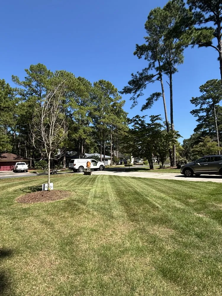 Custom landscaping services for homes across Ash, NC - Turner Landscape Management
