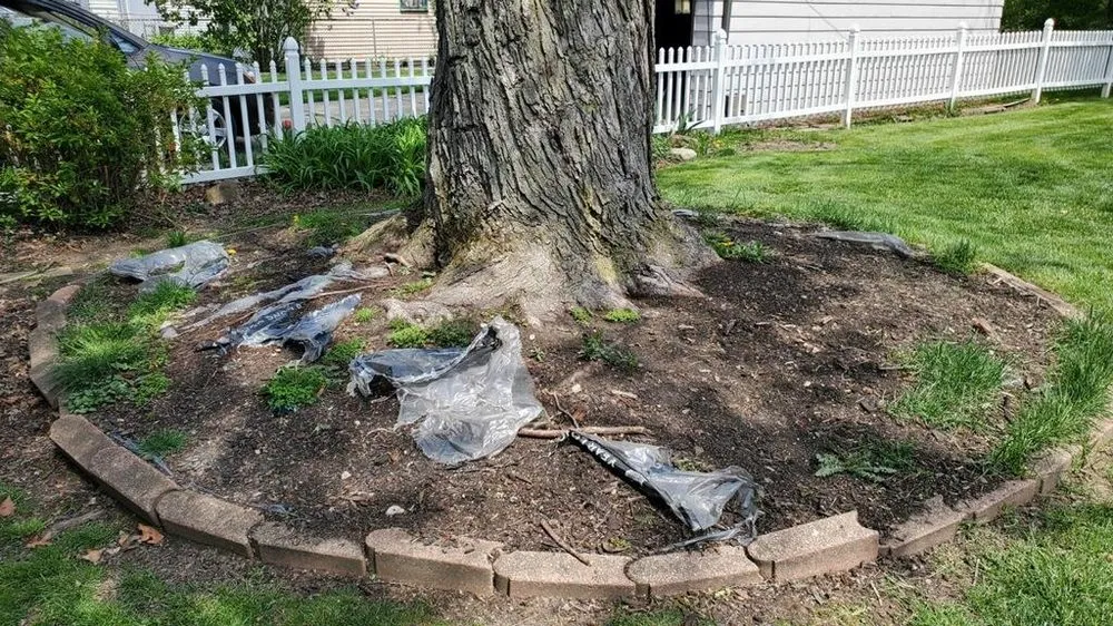 Professional residential landscaping in Cleveland, OH - Turner Landscaping