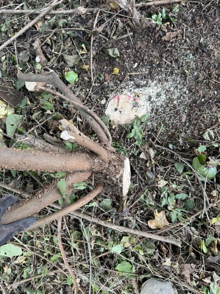 Trusted garden landscaping in Oklahoma City, OK - Turner Lawn & Landscaping