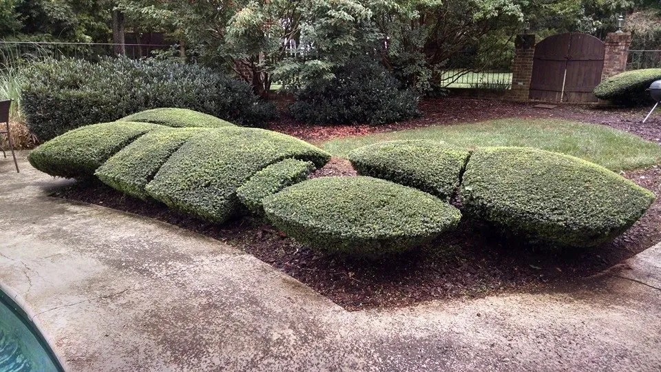 Top-rated yard maintenance experts serving Pleasant Garden, NC - Turner Lawn Care & Landscaping