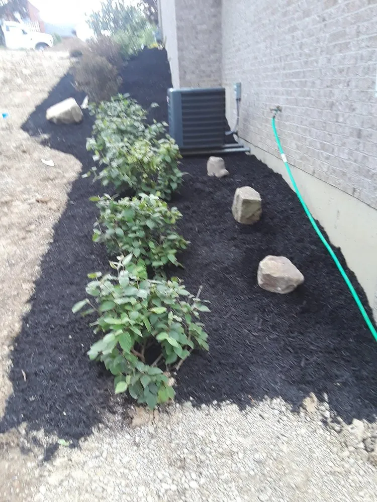 Reliable landscaping services in Edgewood, KY by Turner lawn care and landscaping