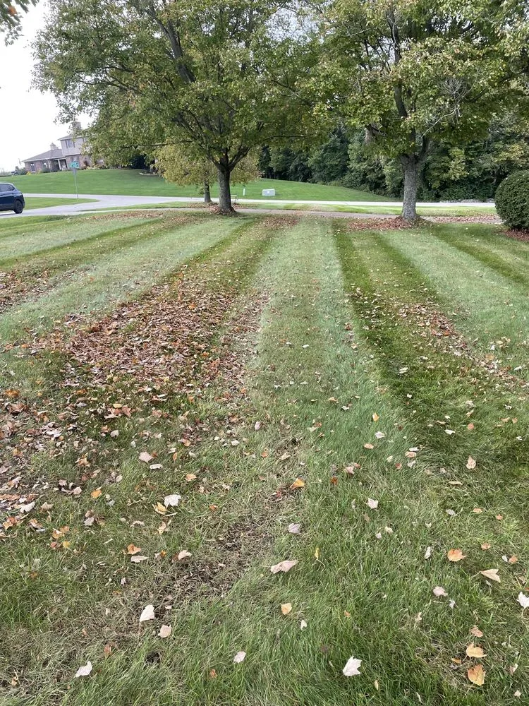 Professional yard cleanup service for beautiful yards across Edgewood, KY - Turner lawn care and landscaping