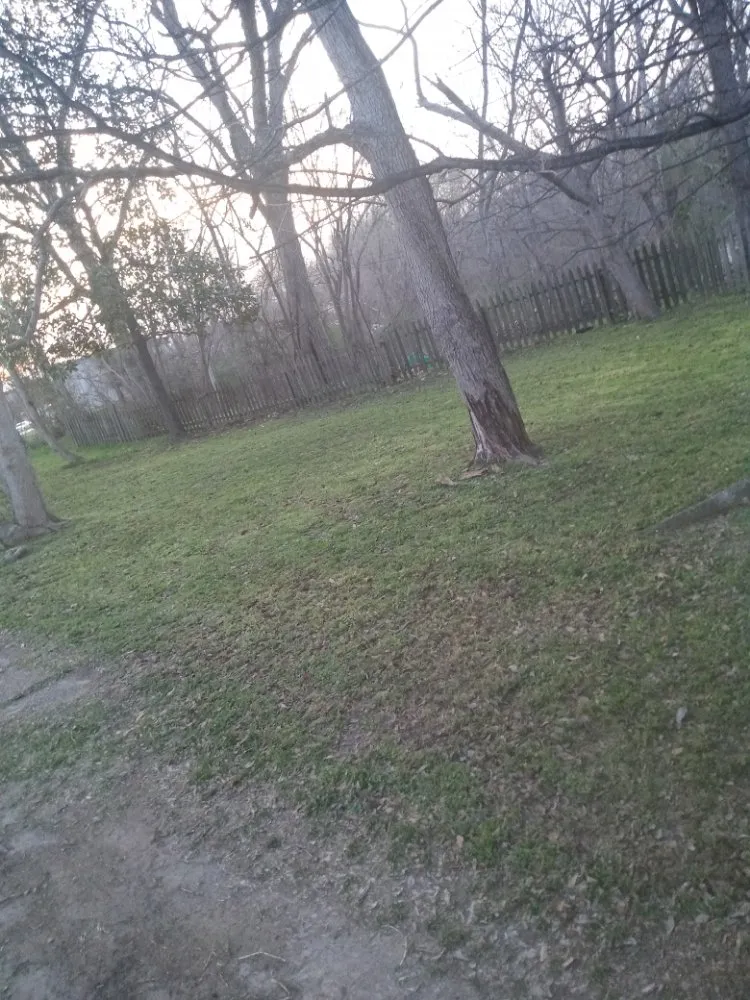 Expert lawn mowing service in Utica, MS by Turner Lawn Care