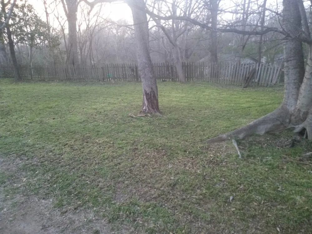 Top-rated yard maintenance for residential properties across Utica, MS - Turner Lawn Care