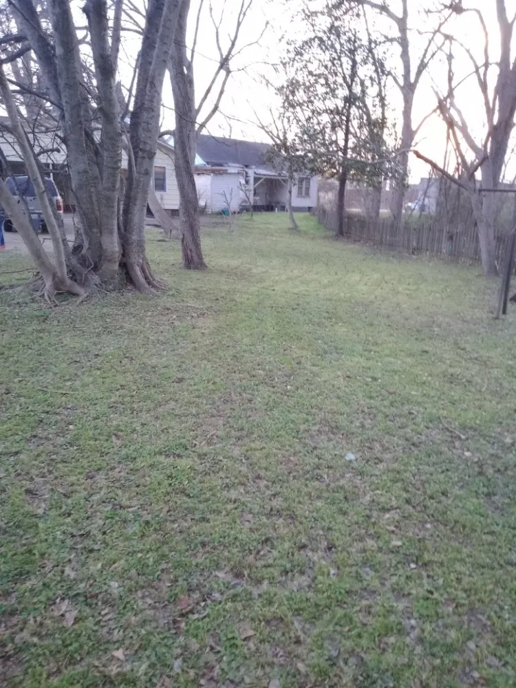 Expert landscape design experts serving Utica, MS - Turner Lawn Care