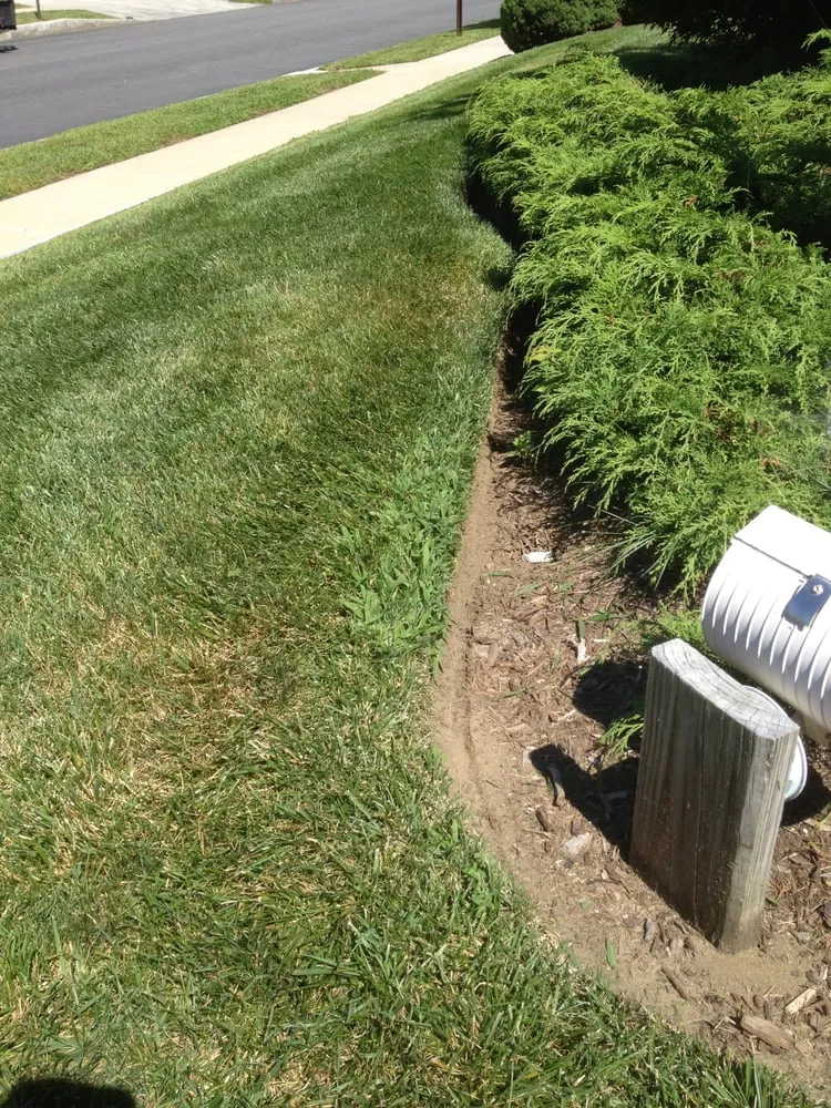 Custom yard cleanup service in Bow, NH by Turner Outdoor Services