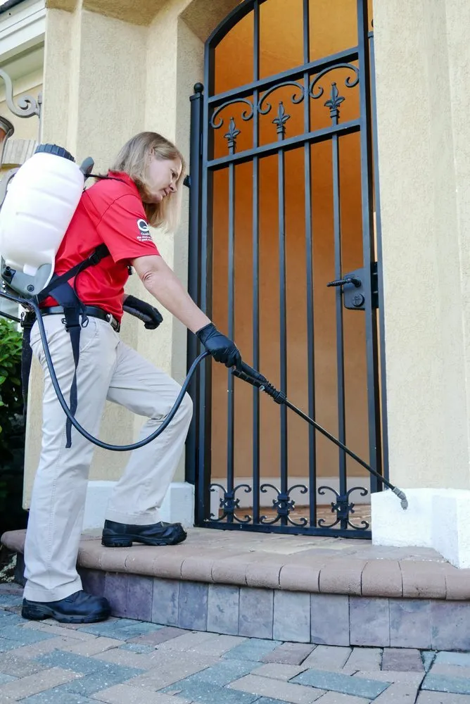 Reliable yard maintenance experts serving Clearwater, FL - Turner Pest Control