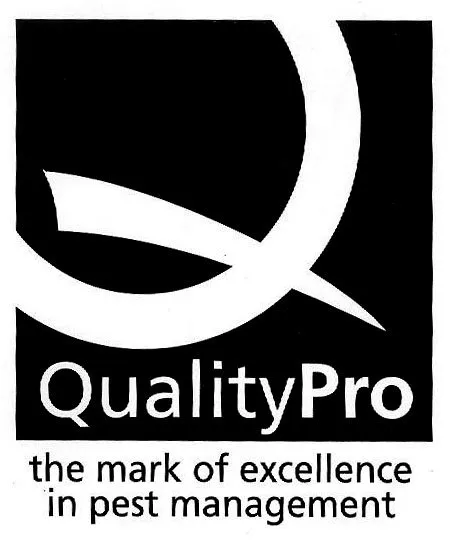 Top-rated lawn mowing service for residential properties in Clearwater, FL by Turner Pest Control