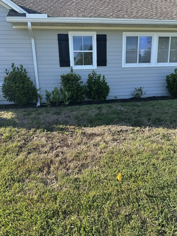 Reliable lawn mowing service in Jacksonville, FL - Turner Pest Control