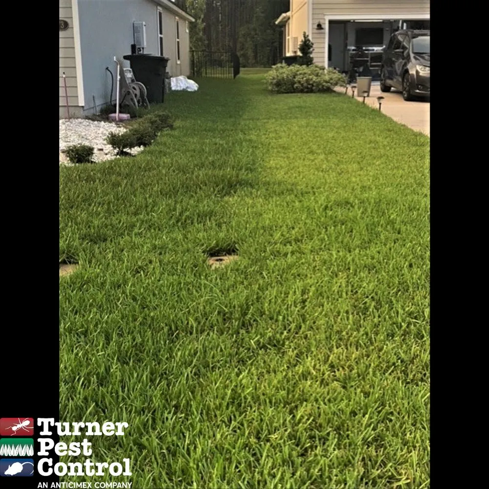 Reliable lawn mowing service in Ocala, FL - Turner Pest Control