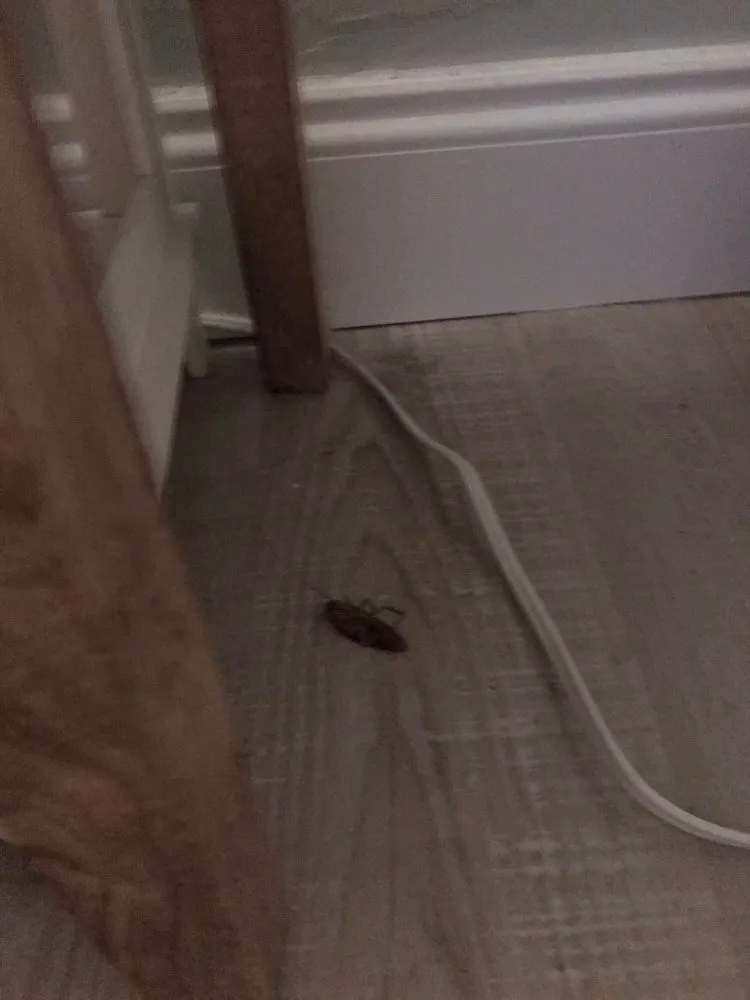 Custom landscaping services experts serving West Palm Beach, FL - Turner Pest Control