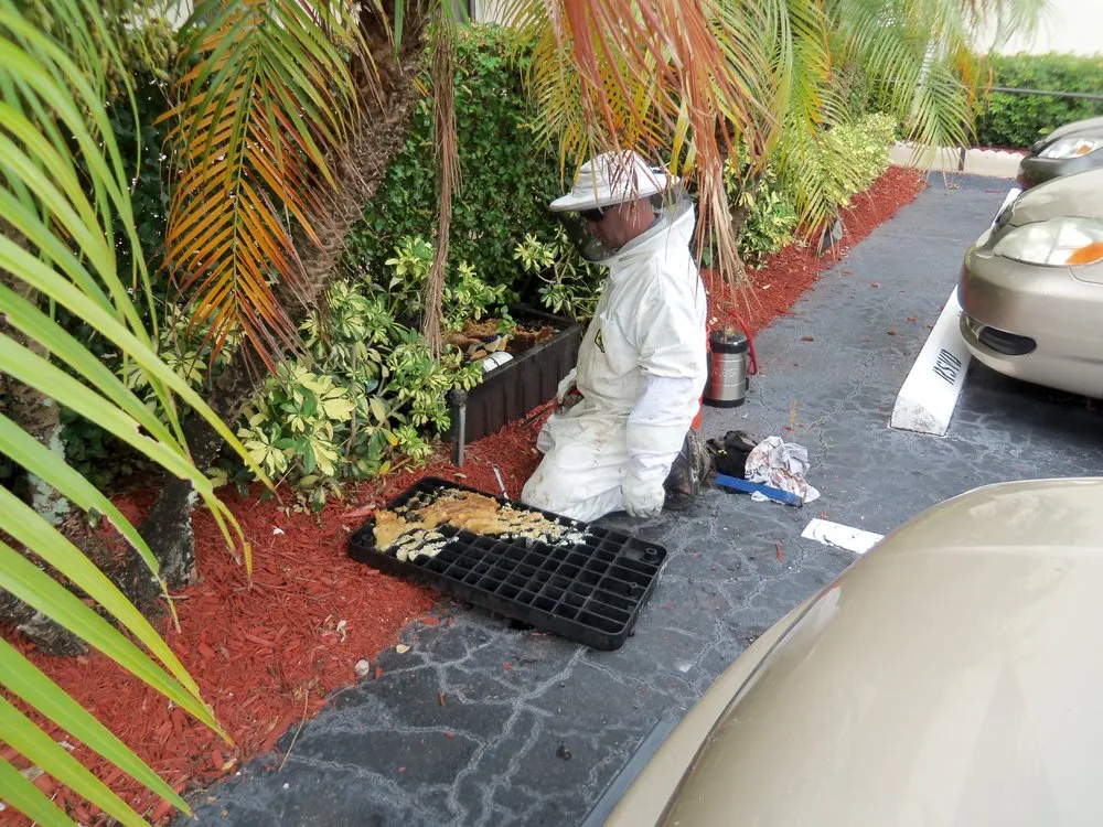 Reliable lawn care service with custom design across West Palm Beach, FL - Turner Pest Control