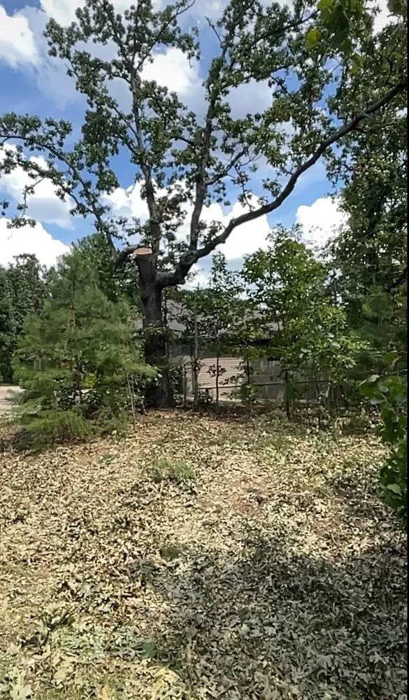 Local landscape design in Farmington, AR by Turner Works