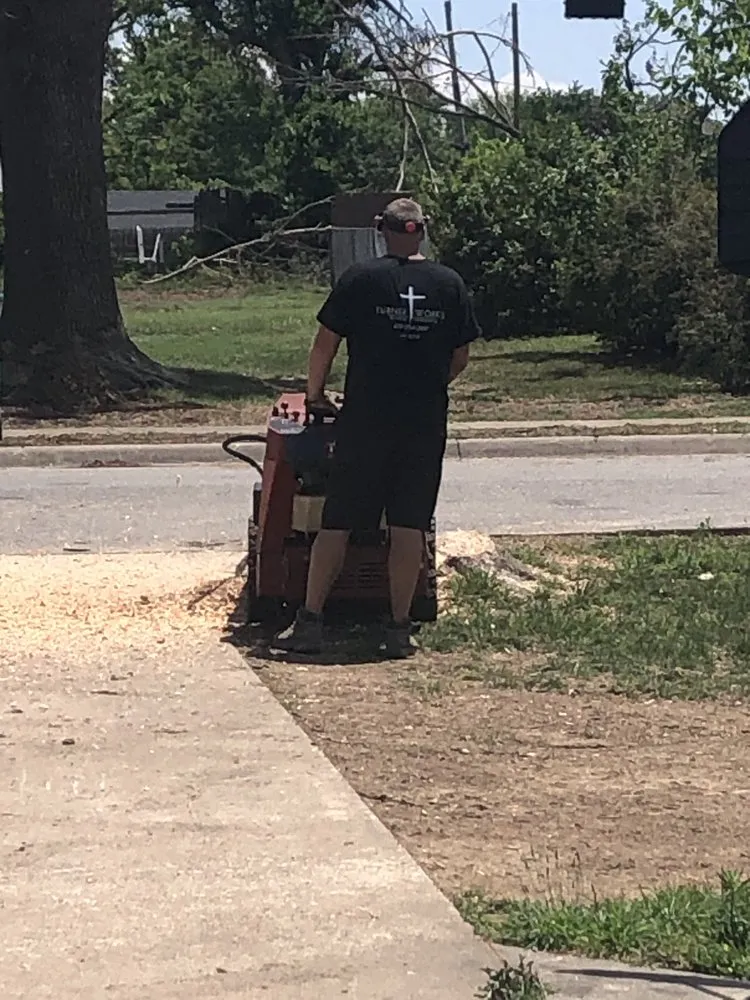 Expert garden landscaping in Farmington, AR by Turner Works