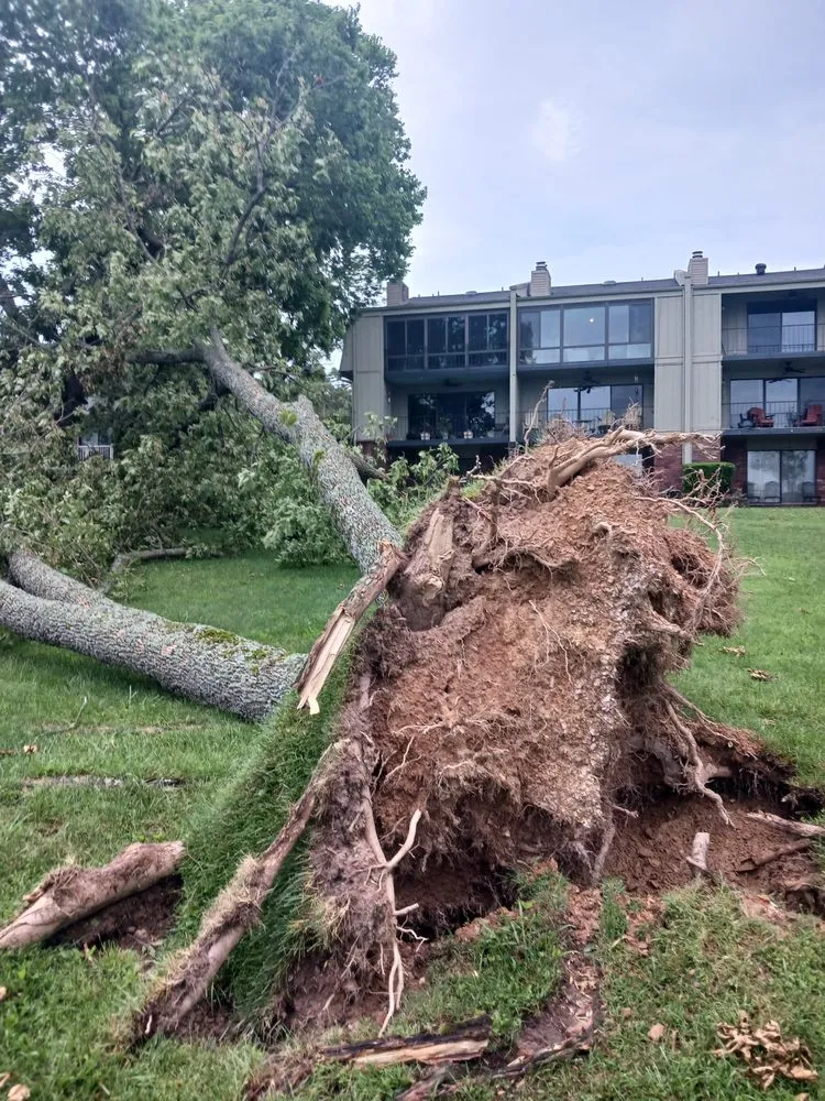 Expert landscaping services for outdoor upgrades in Farmington, AR by Turner Works