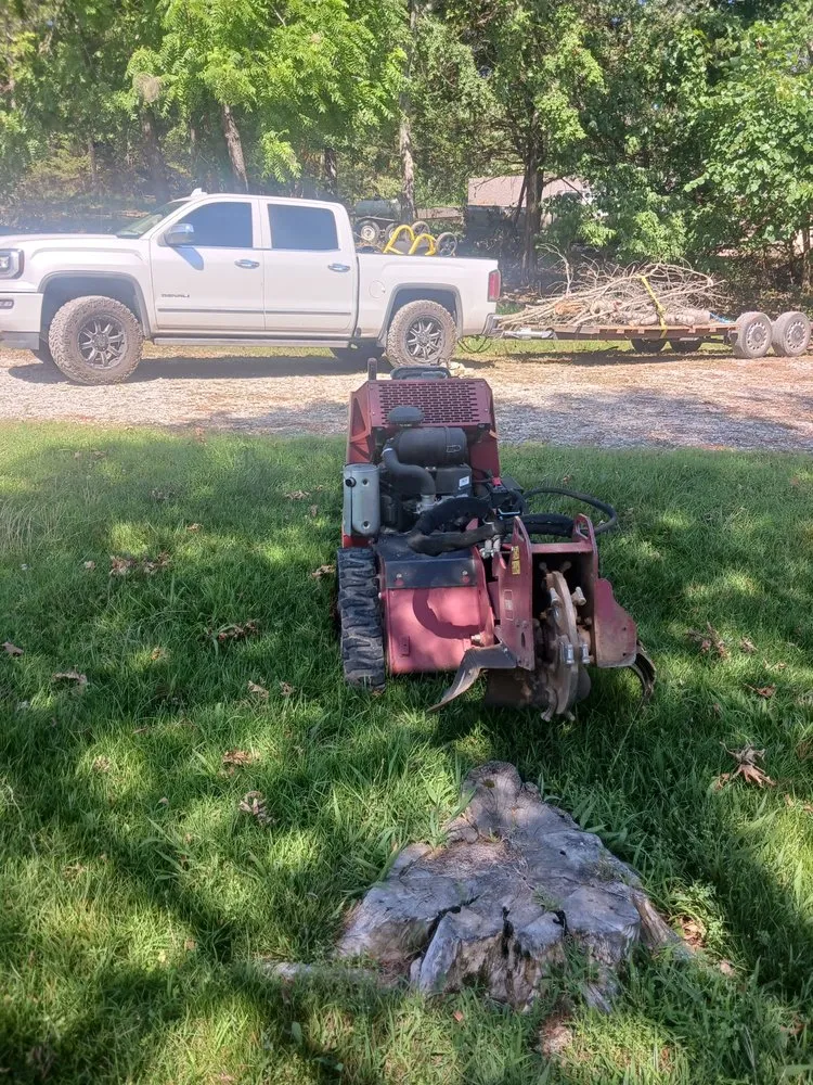 Reliable yard cleanup service in Farmington, AR - Turner Works