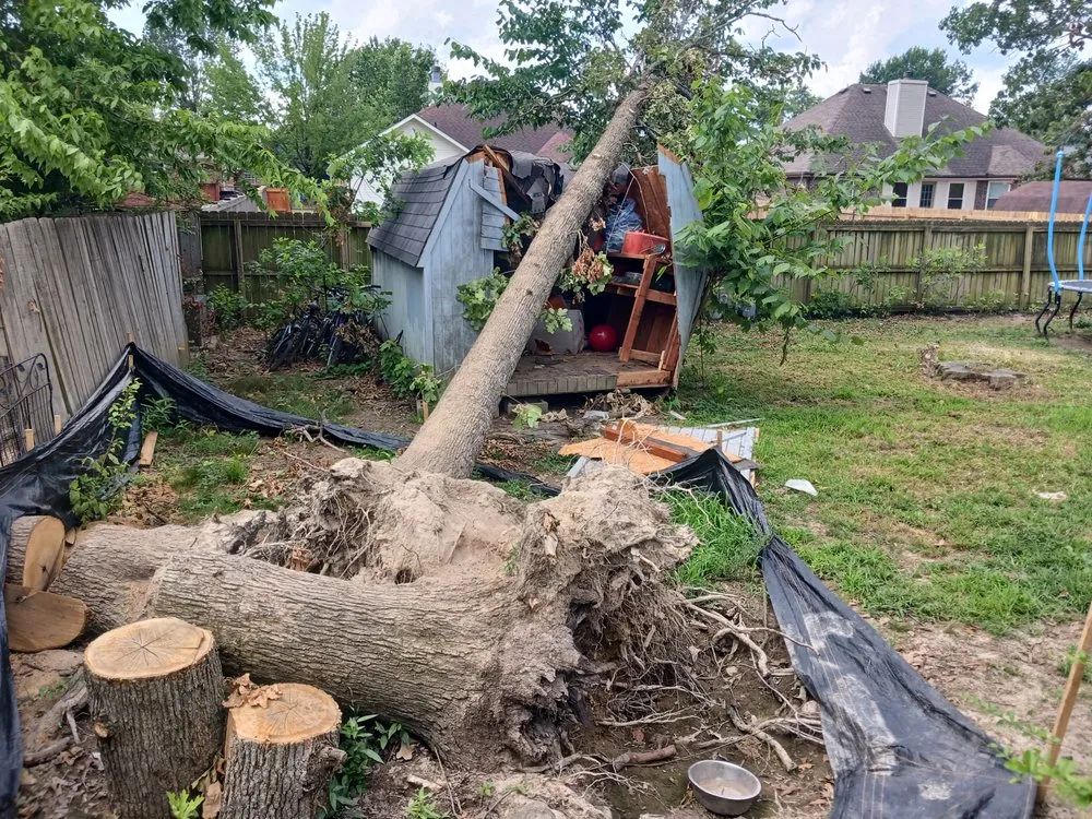 Professional landscape installation in Farmington, AR by Turner Works