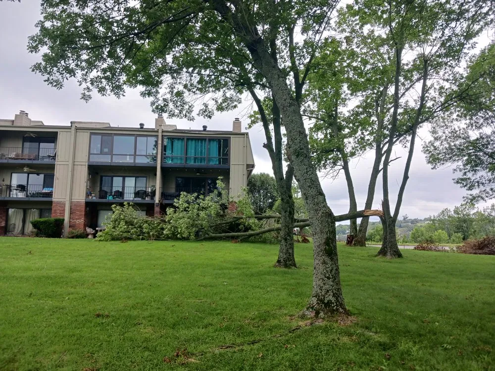 Professional lawn mowing service experts serving Farmington, AR - Turner Works