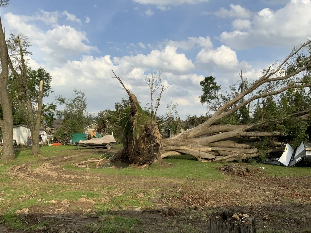 Expert outdoor landscaping experts serving Farmington, AR - Turner Works