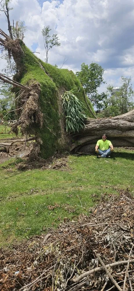 Local yard maintenance in Farmington, AR by Turner Works