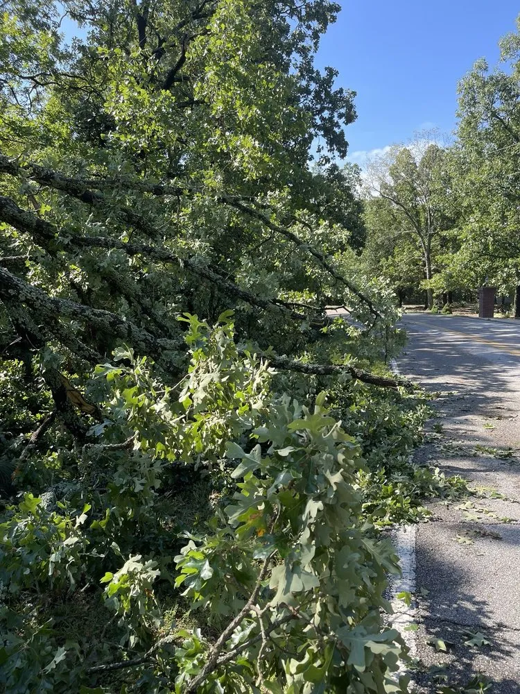 Local landscaping services near you across Farmington, AR - Turner Works