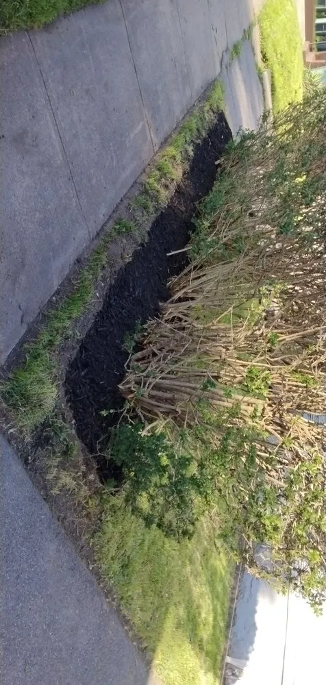 Professional outdoor landscaping near you in Rochester, NY by Turner Xterior Services