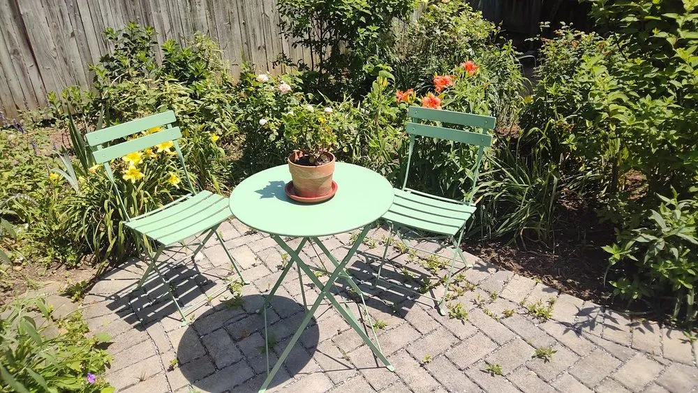 Top-rated yard cleanup service in Brentwood, MD - Turner Yard and Garden