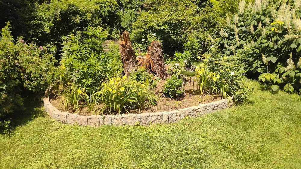 Local yard cleanup service for homes across Brentwood, MD - Turner Yard and Garden