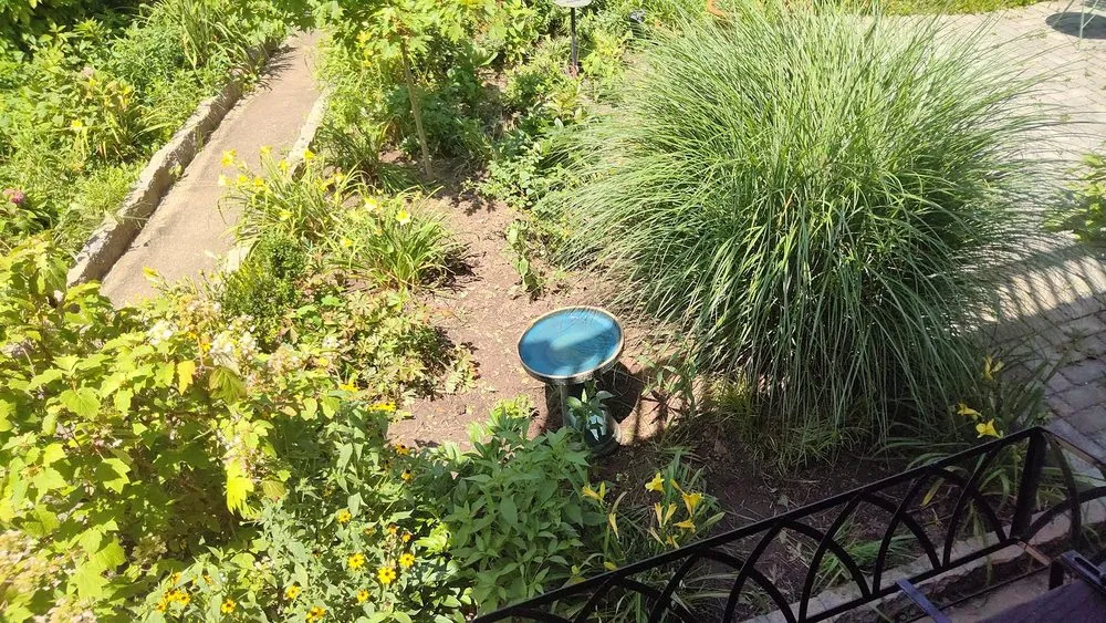 Local yard cleanup service for year-round maintenance across Brentwood, MD - Turner Yard and Garden