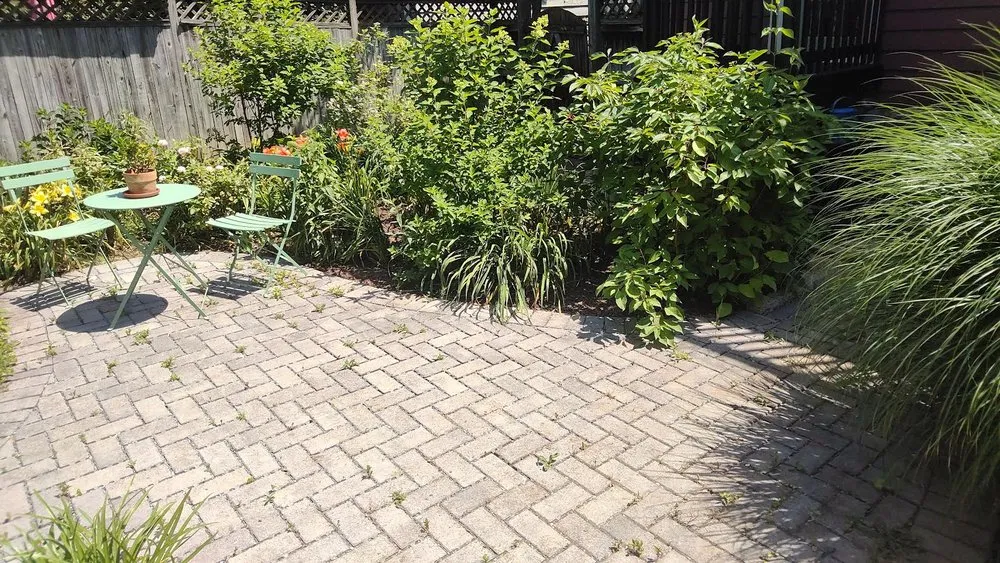 Top-rated lawn care service in Brentwood, MD by Turner Yard and Garden