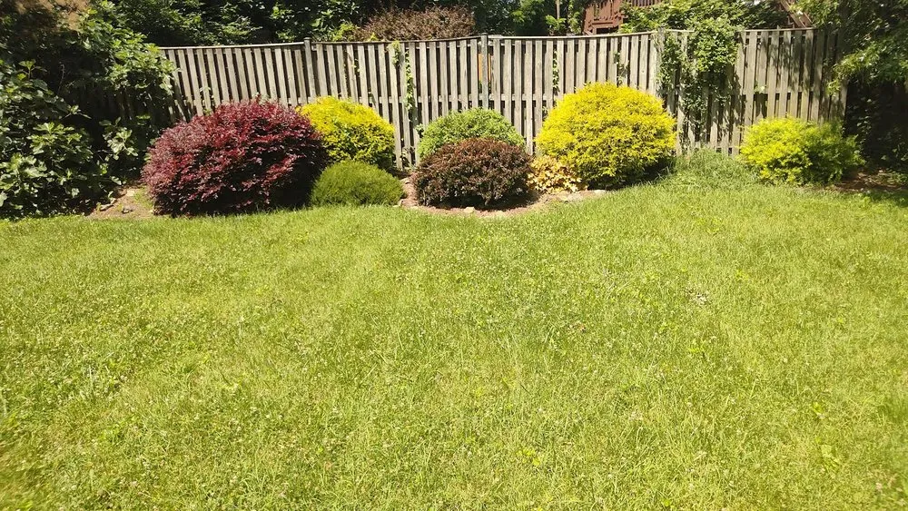 Top-rated residential landscaping in Brentwood, MD by Turner Yard and Garden