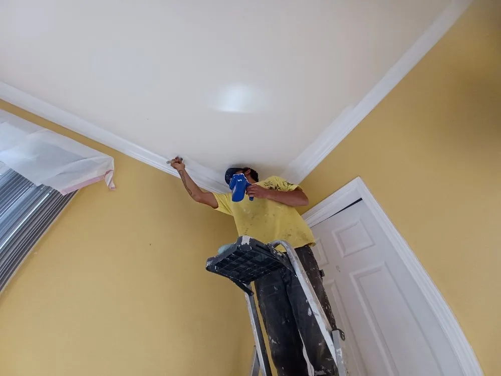 Expert yard maintenance in Red Bluff, CA by Turner’s All Around Services