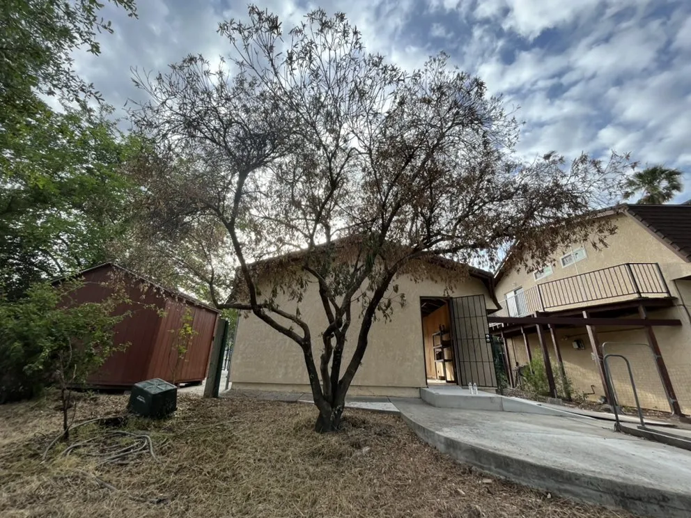 Top-rated yard maintenance in Red Bluff, CA by Turner’s All Around Services