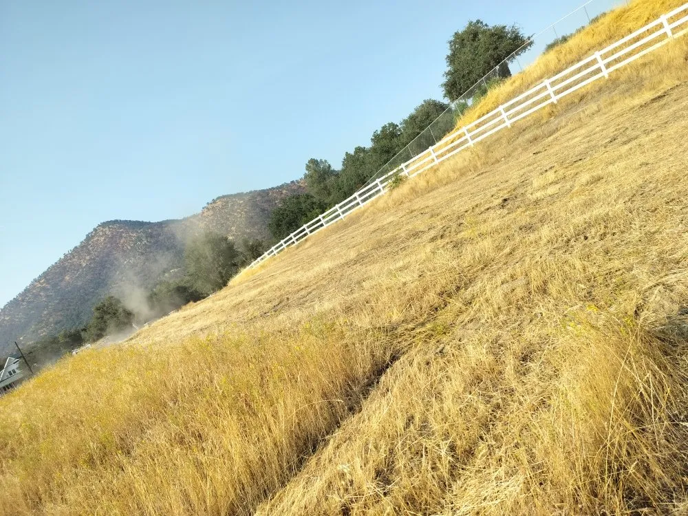 Professional yard cleanup service for residential properties in Visalia, CA by Turner's Eco-Care Solution's