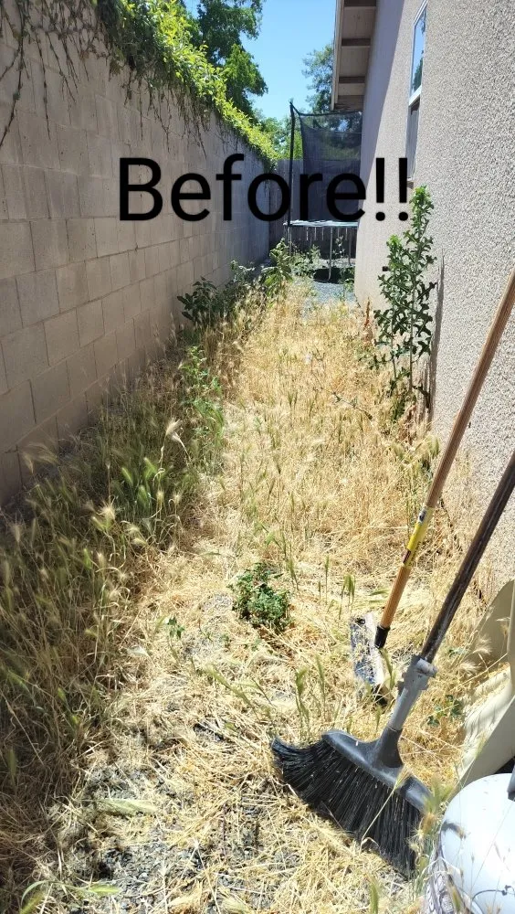 Local landscaping services with custom design in Visalia, CA by Turner's Eco-Care Solution's