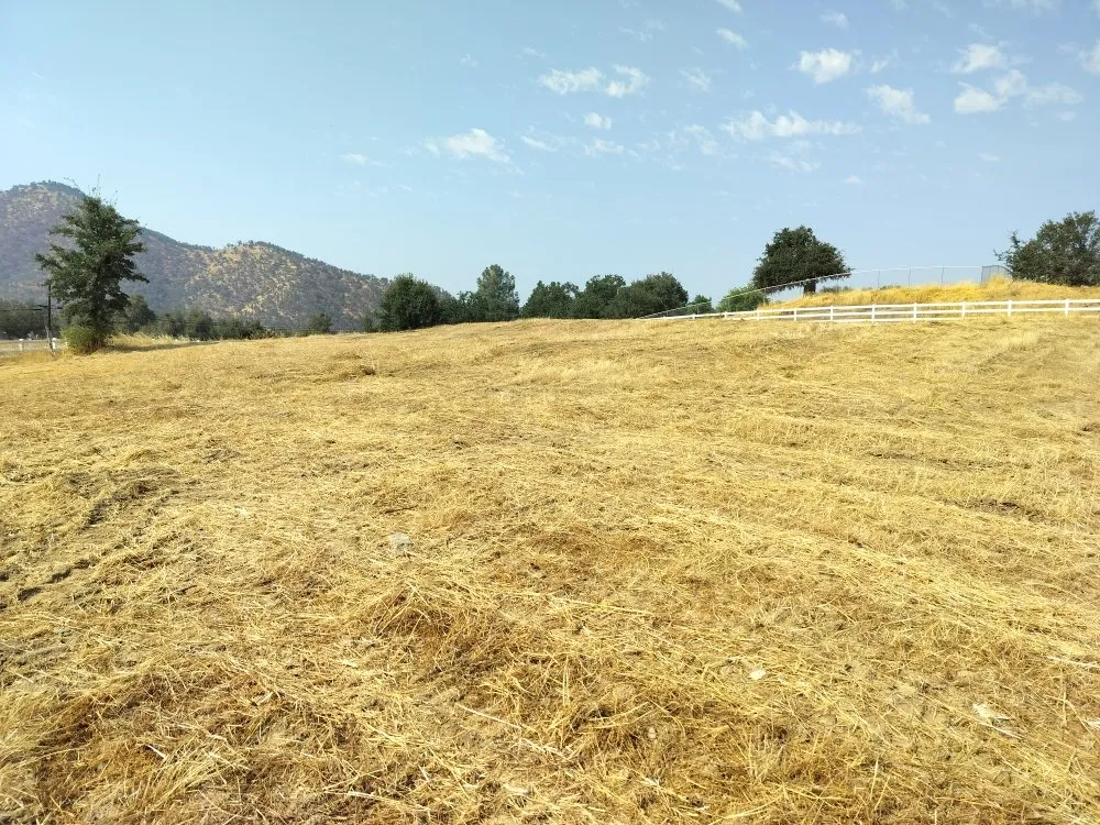 Local lawn mowing service in Visalia, CA - Turner's Eco-Care Solution's