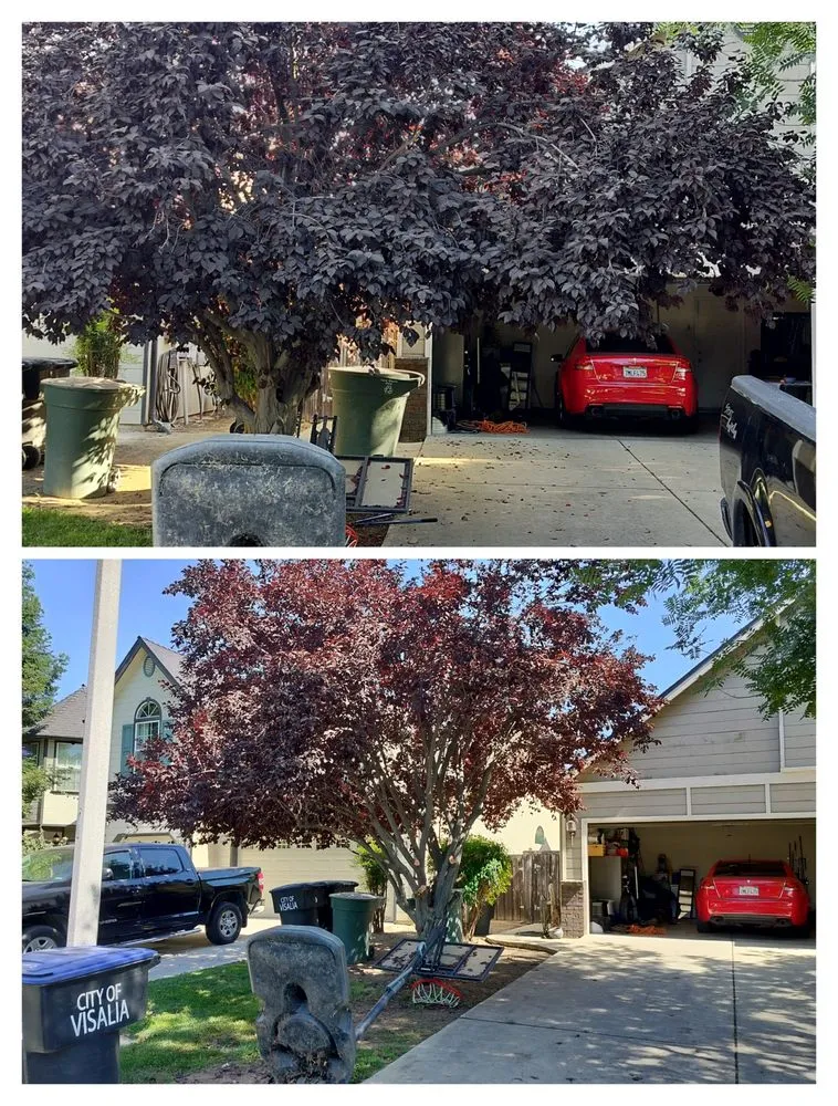 Local lawn mowing service near you across Visalia, CA - Turner's Eco-Care Solution's