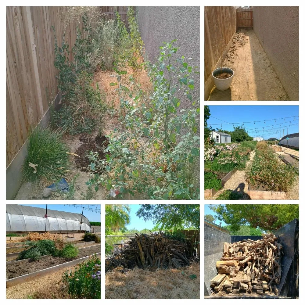 Top-rated yard cleanup service for beautiful yards in Visalia, CA by Turner's Eco-Care Solution's