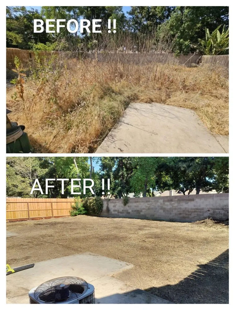 Trusted lawn care service for outdoor upgrades in Visalia, CA by Turner's Eco-Care Solution's