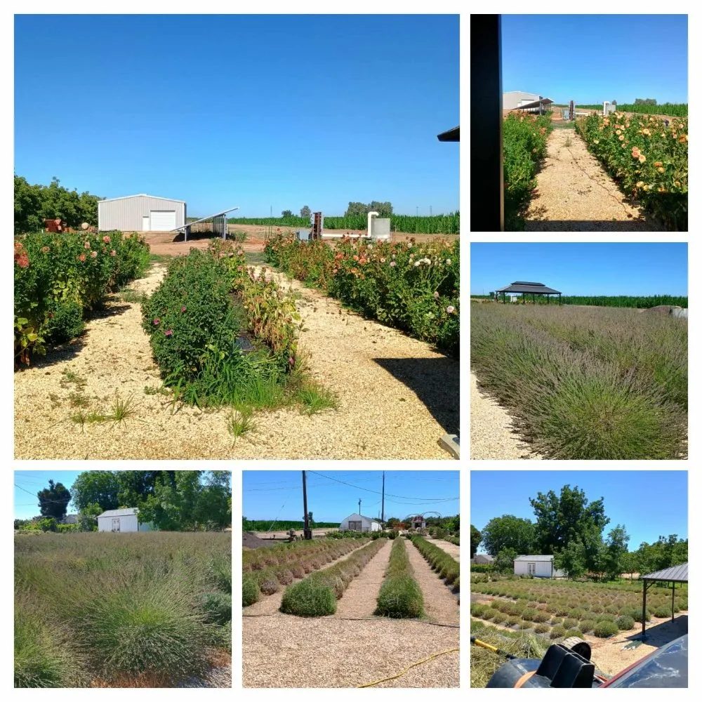 Reliable outdoor landscaping for outdoor upgrades across Visalia, CA - Turner's Eco-Care Solution's