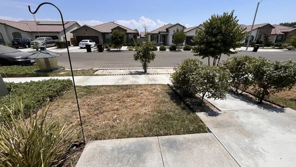 Professional yard maintenance for outdoor upgrades across Visalia, CA - Turner's Eco-Care Solution's