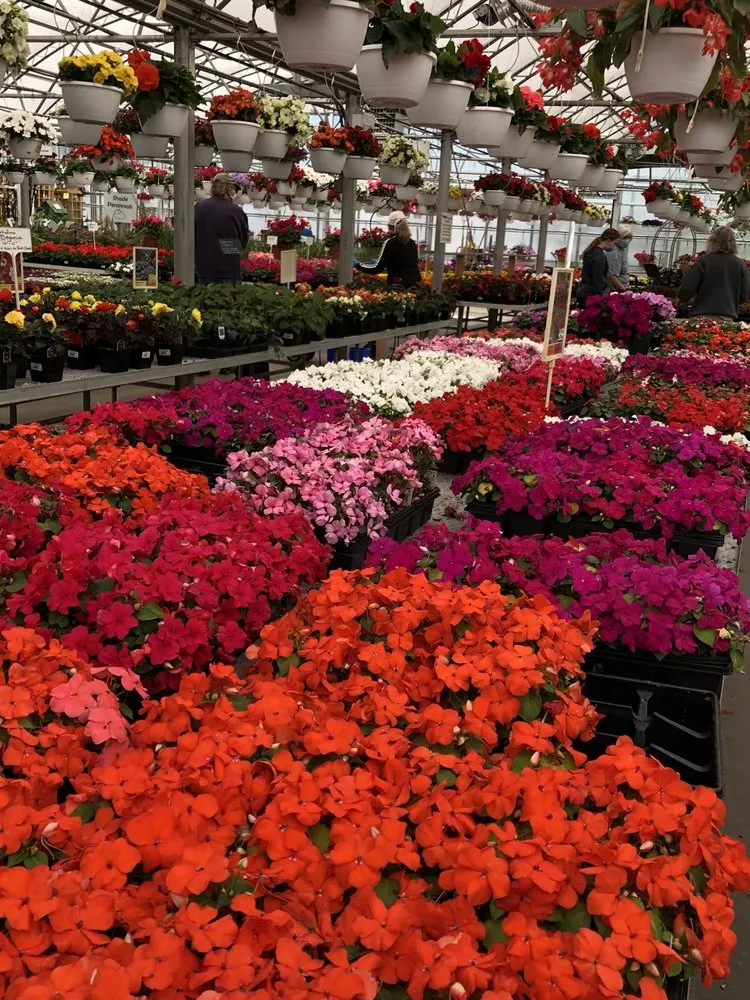 Expert lawn care service in Ann Arbor, MI - Turner's Garden Center and Landscaping