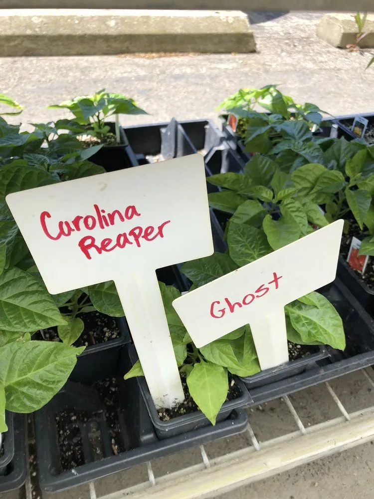 Custom landscape design in Ann Arbor, MI by Turner's Garden Center and Landscaping