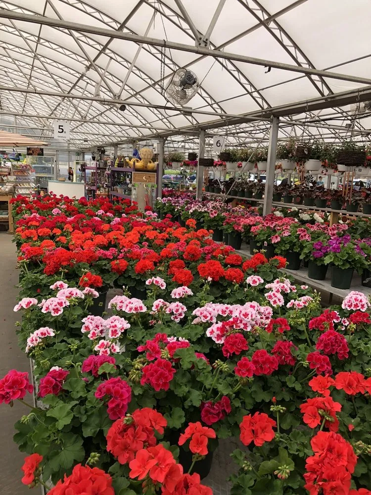 Expert landscape design experts serving Ann Arbor, MI - Turner's Garden Center and Landscaping