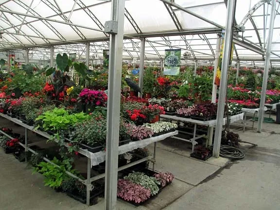 Expert residential landscaping experts serving Ann Arbor, MI - Turner's Garden Center and Landscaping