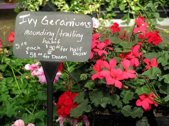 Trusted landscape design for beautiful yards across Ann Arbor, MI - Turner's Garden Center and Landscaping