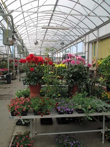 Custom yard maintenance experts serving Ann Arbor, MI - Turner's Garden Center and Landscaping